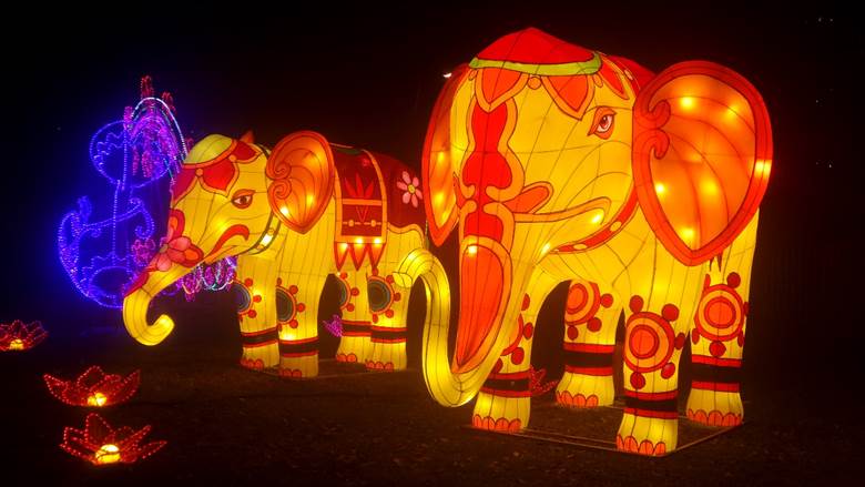 Novi Sad, Kineski festival svetla, Srbija